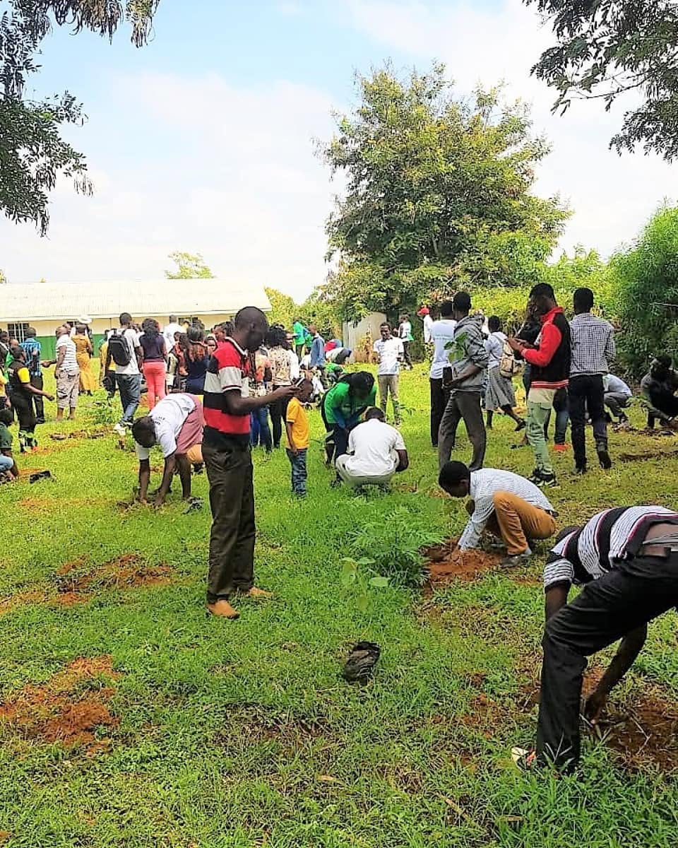 Climate resilience and environmental sustainability